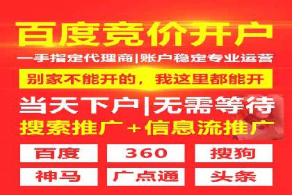 竞价推广成功案例解析
